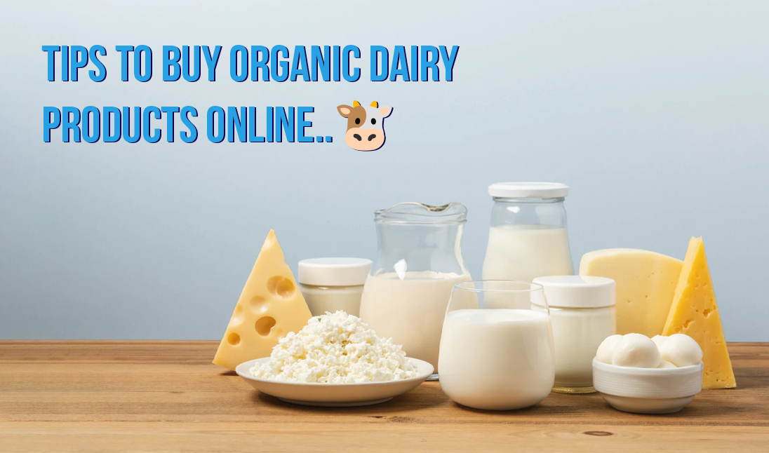 A guide to shopping for dairy products online